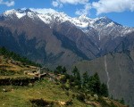 auli hill station