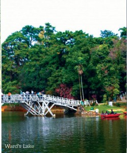 Revised-FWD-June-Issue-Magazine-Final-84-shillong-bridge