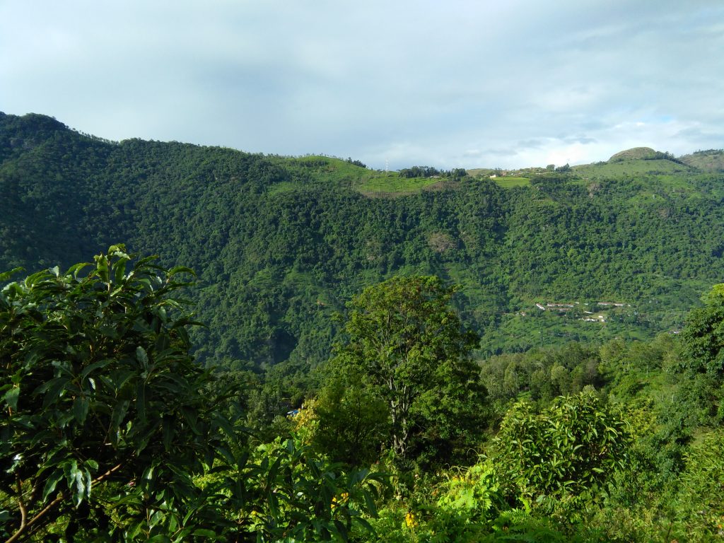 Coonoor