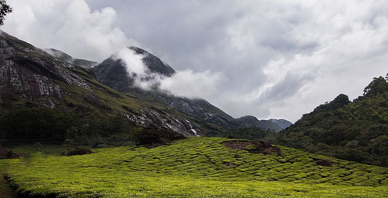 Eravikulam National Park